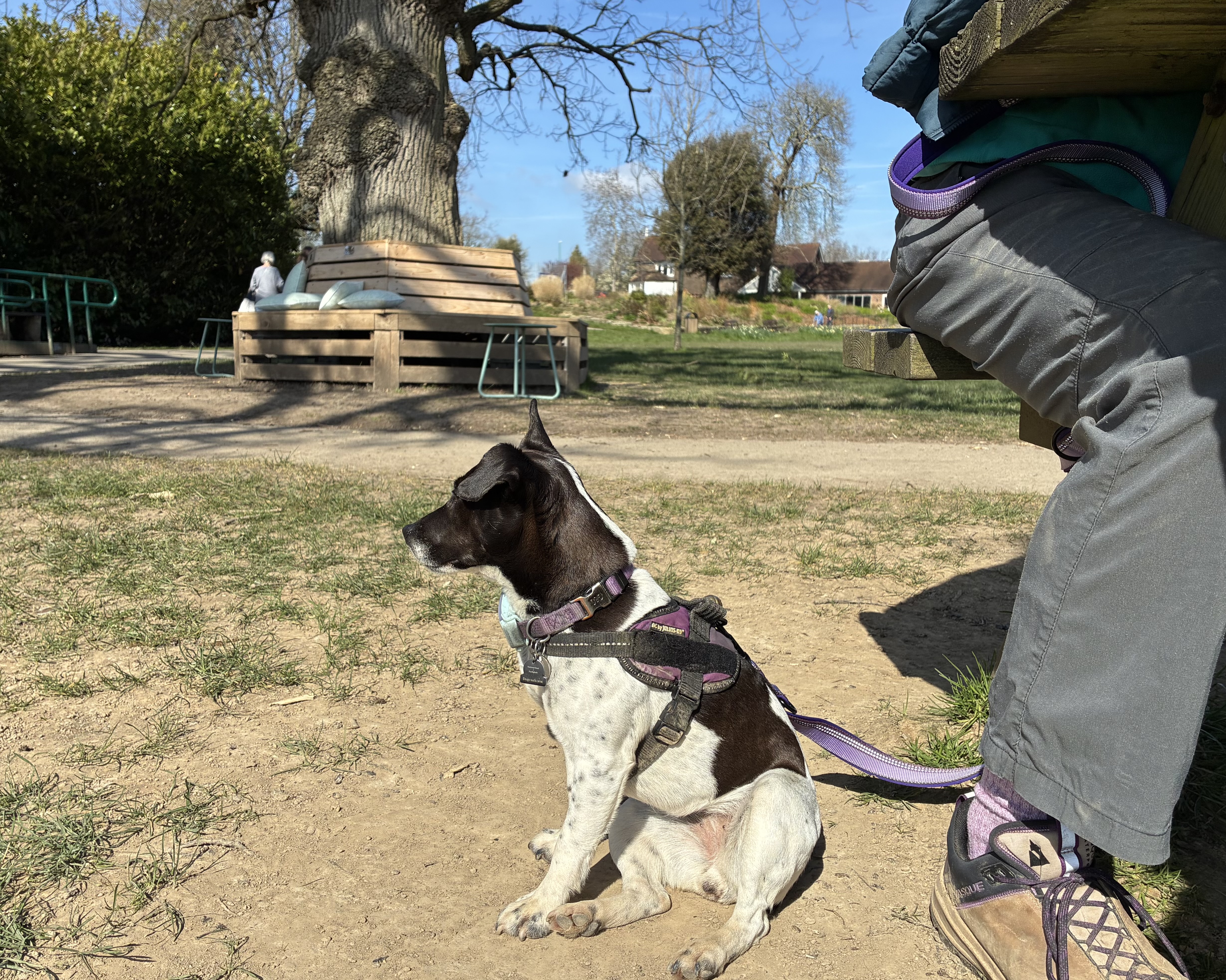 Being good at Beech Hurst Gardens cafe