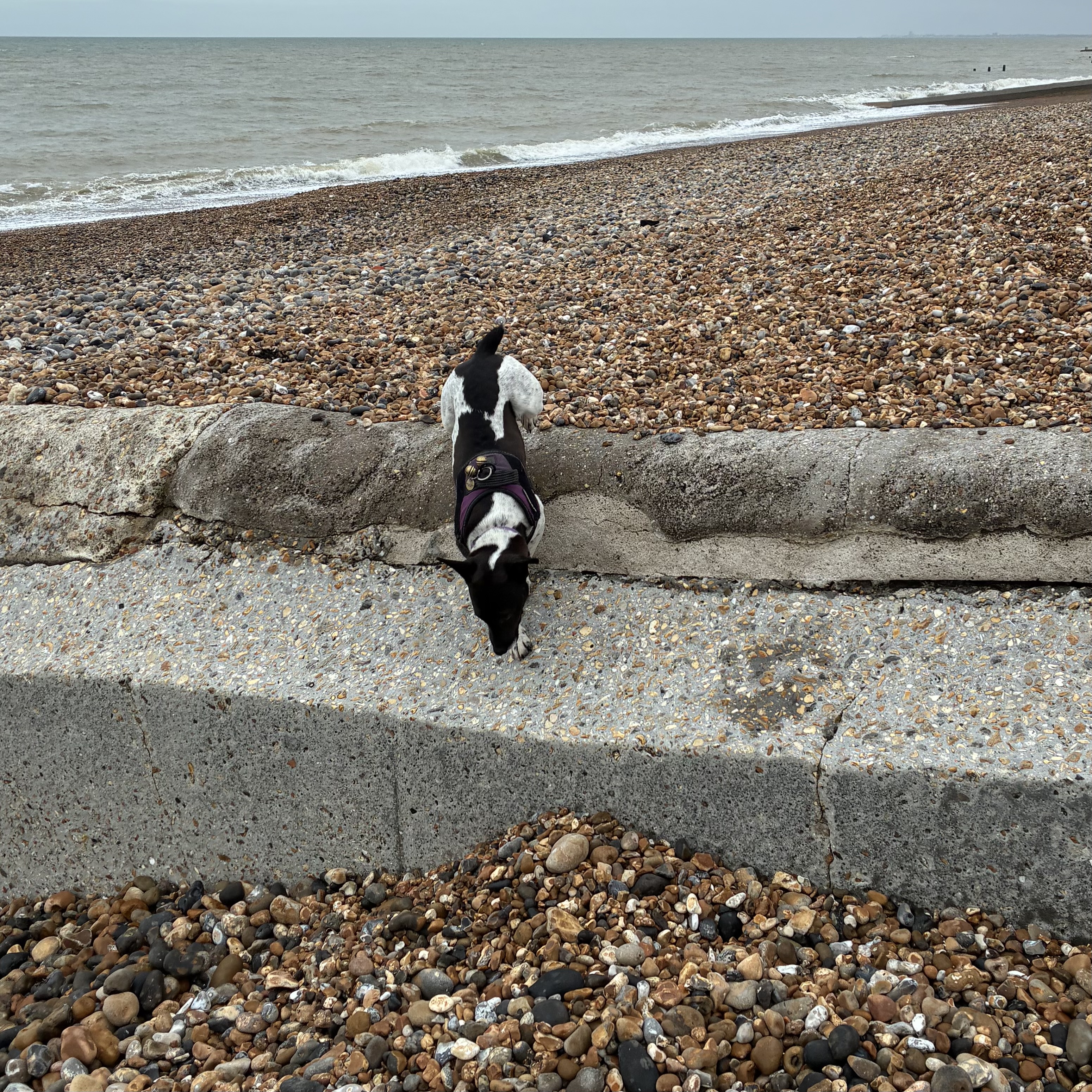 I can climb down steep slopes