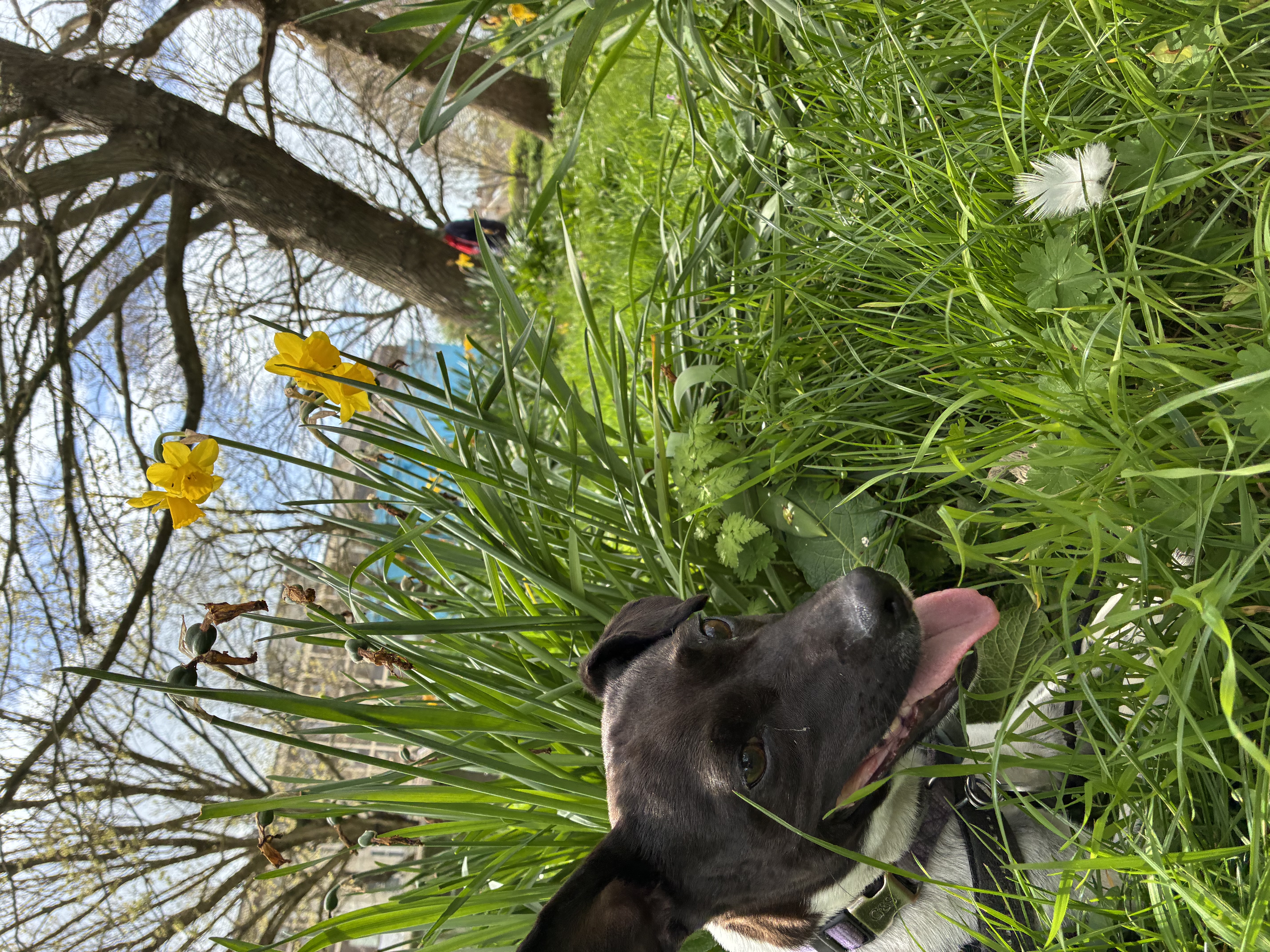 Have a quick rest in the grass