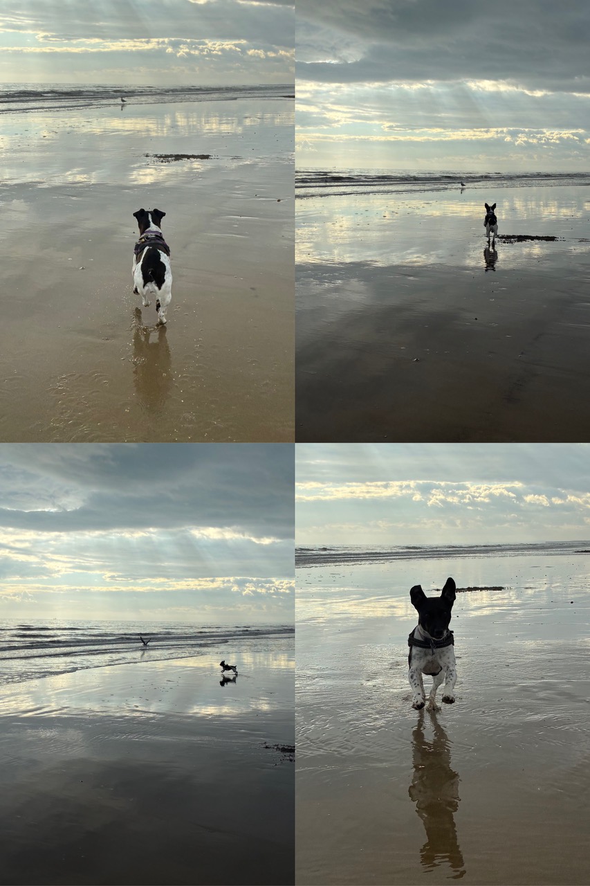 This time I&rsquo;ll get it