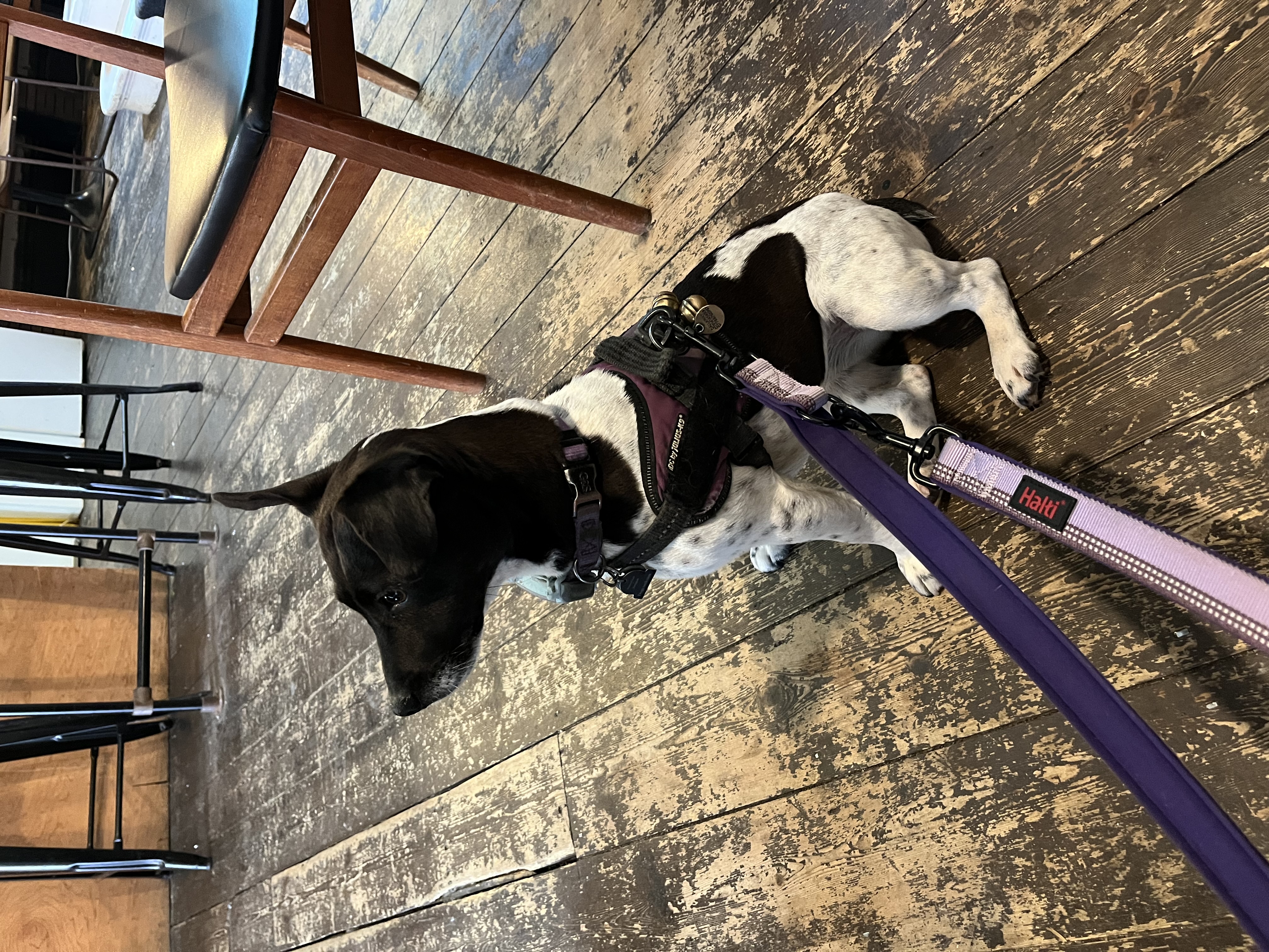 Being a good girl at Cliffs in Cliftonville