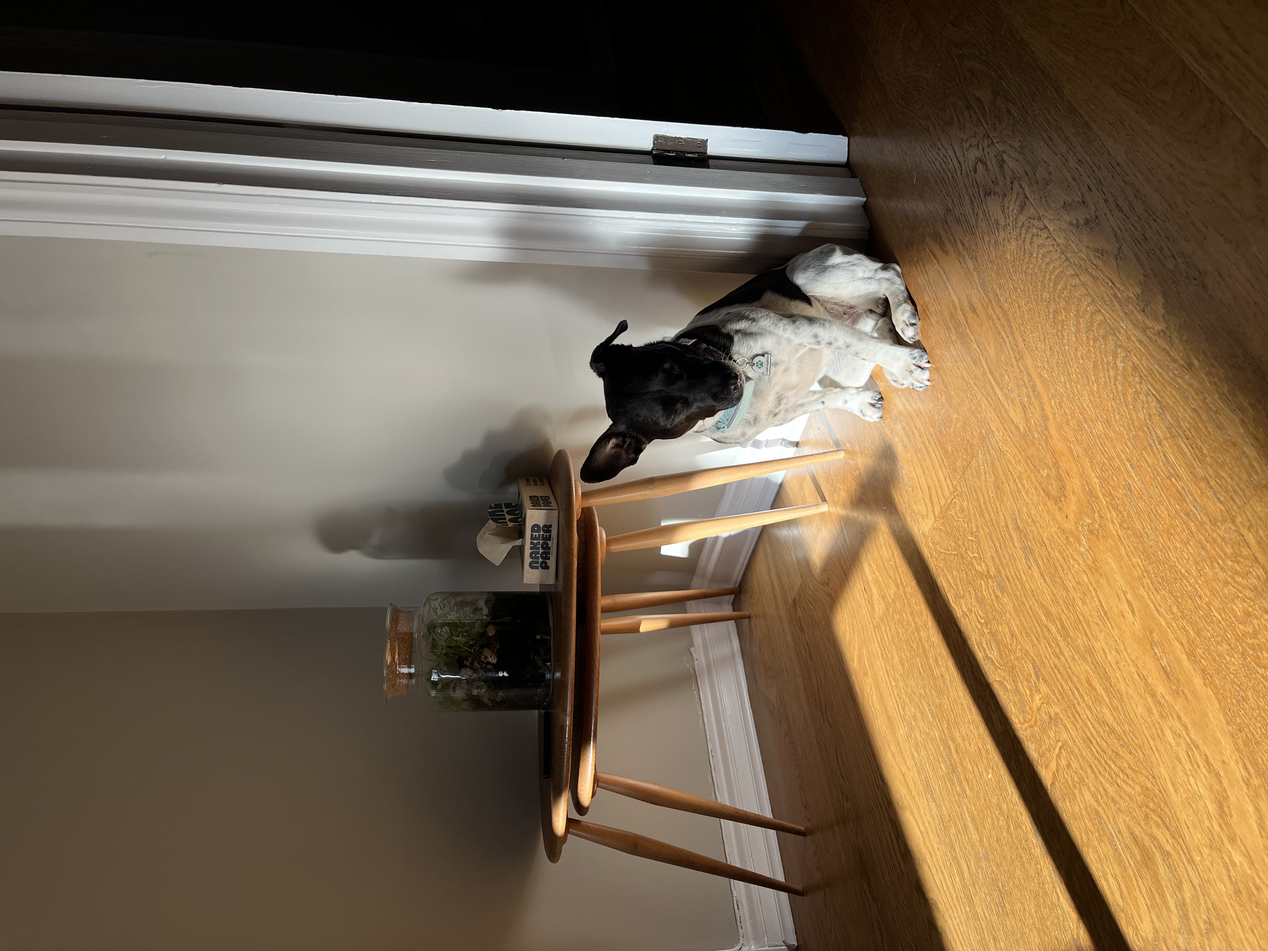 I’ve found me a sunny spot