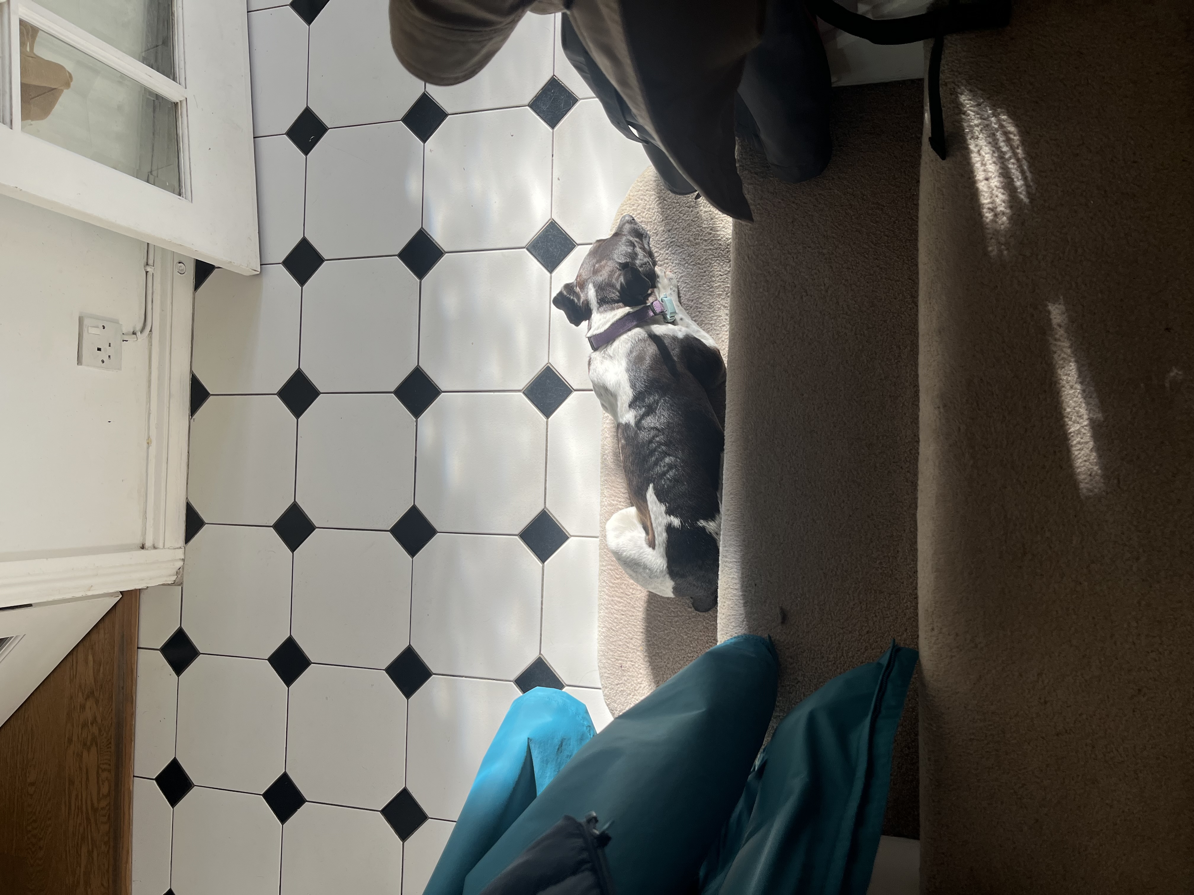 Being a bit of a trip hazard