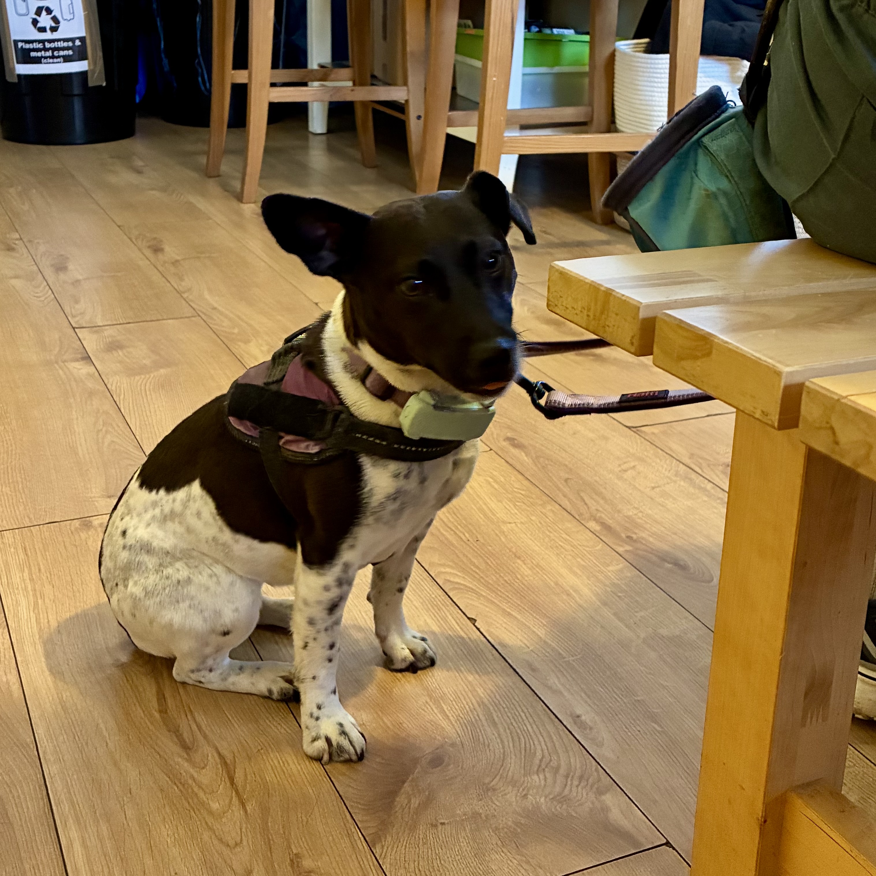 Visiting The Skiff for Friday drinks and snacks