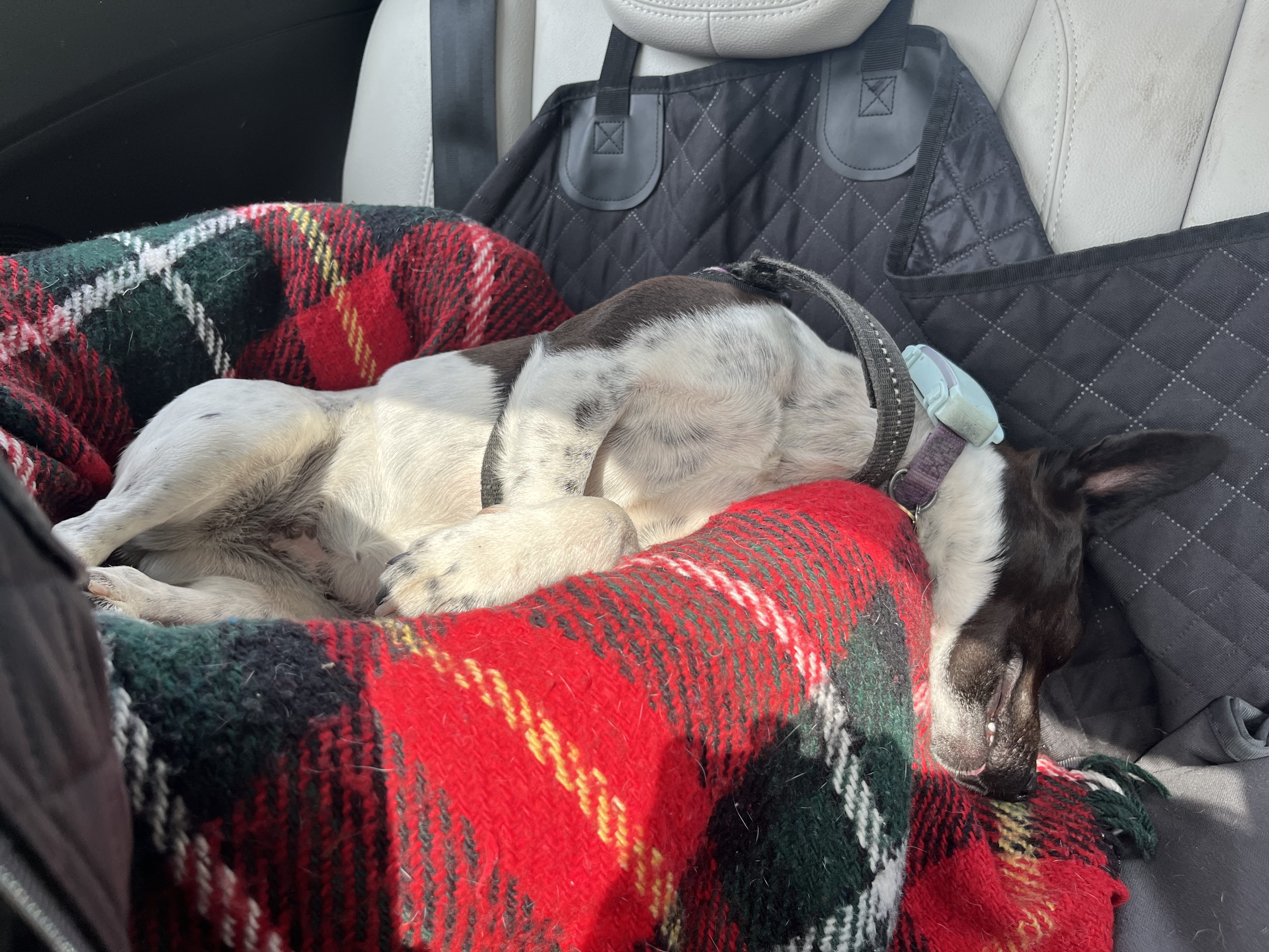 This is also how I like to travel in the car