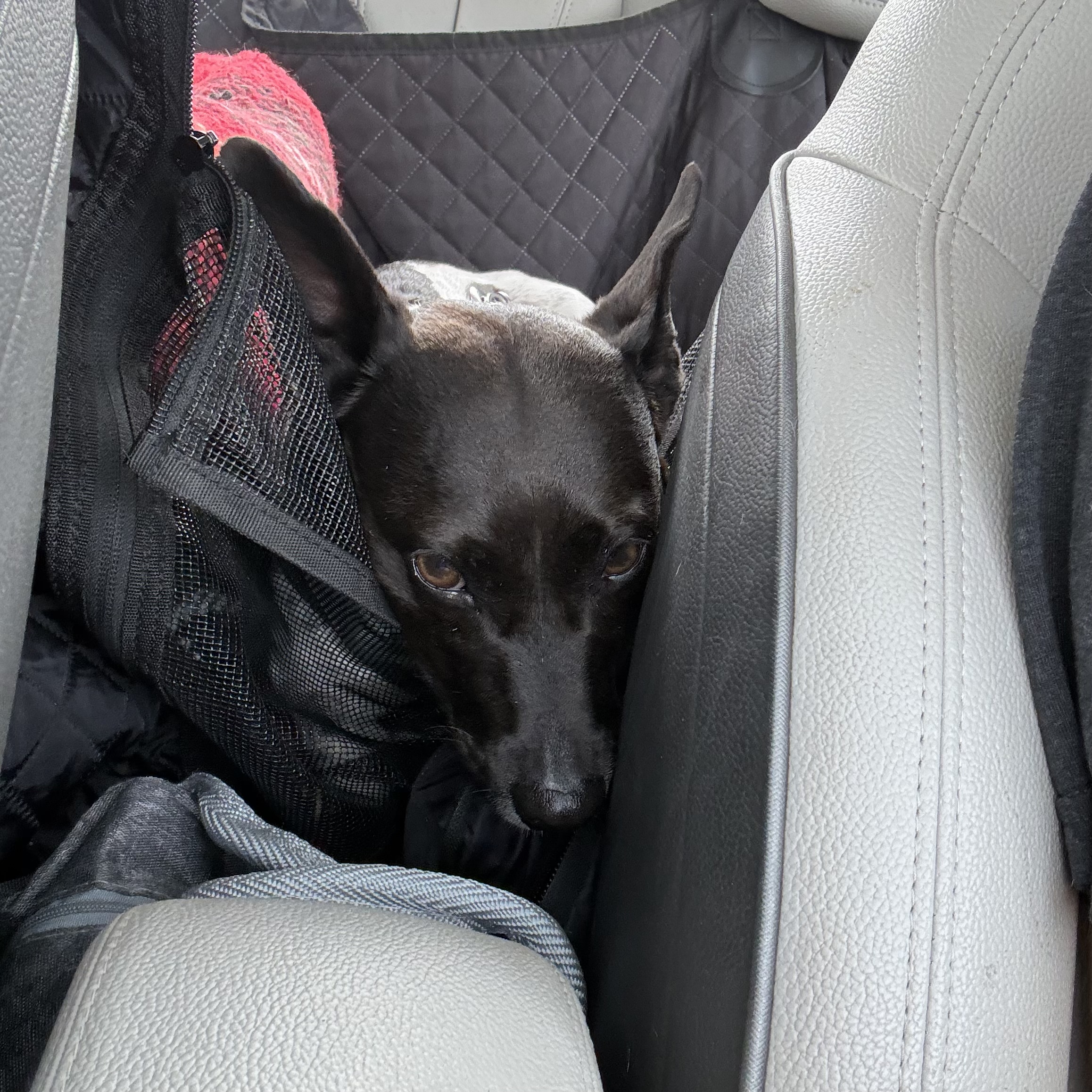 This is how I like to travel in the car