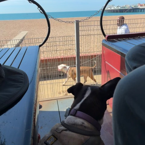 I went on the Volks Railway!
