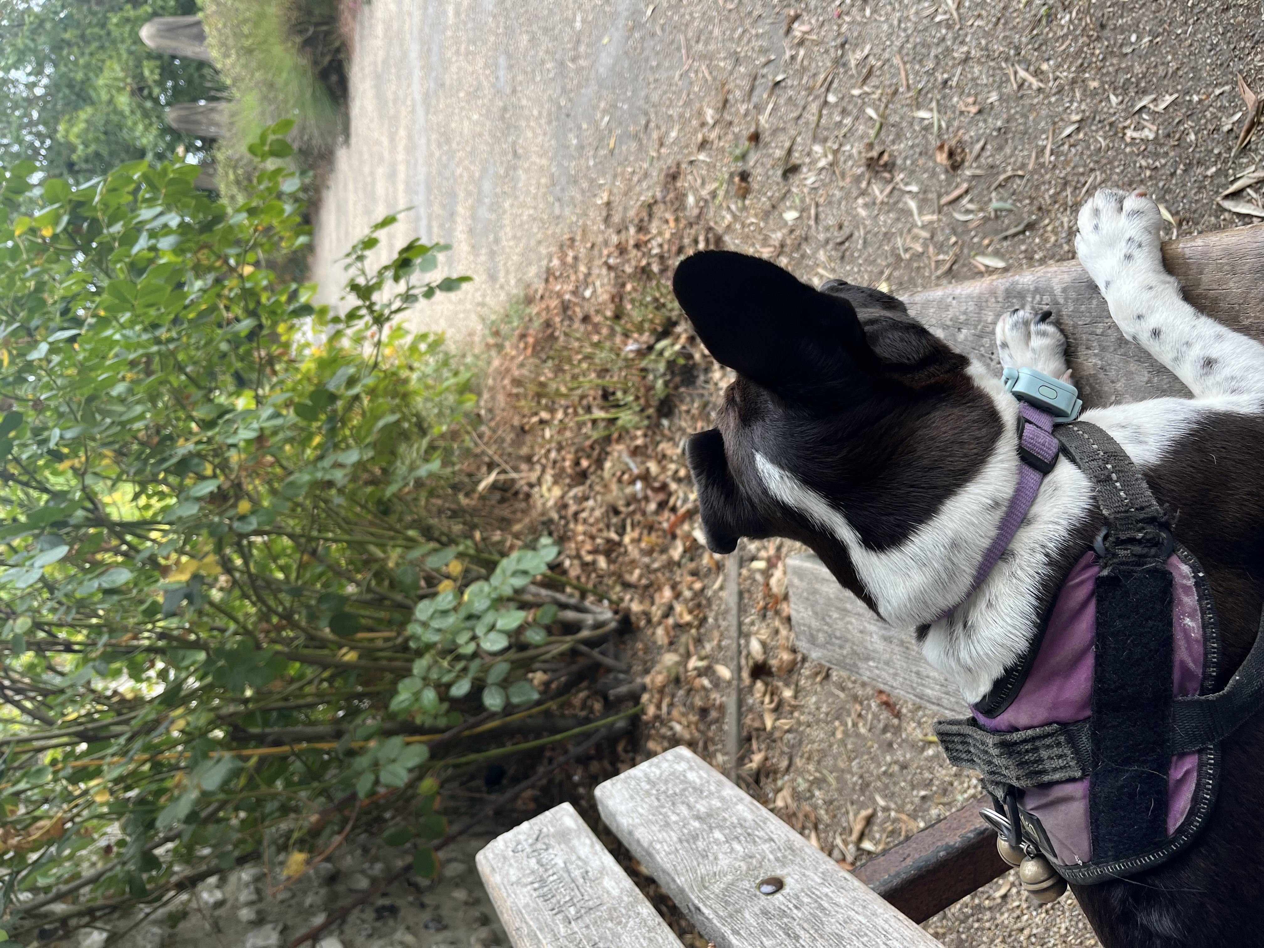 Chillin’ on a bench