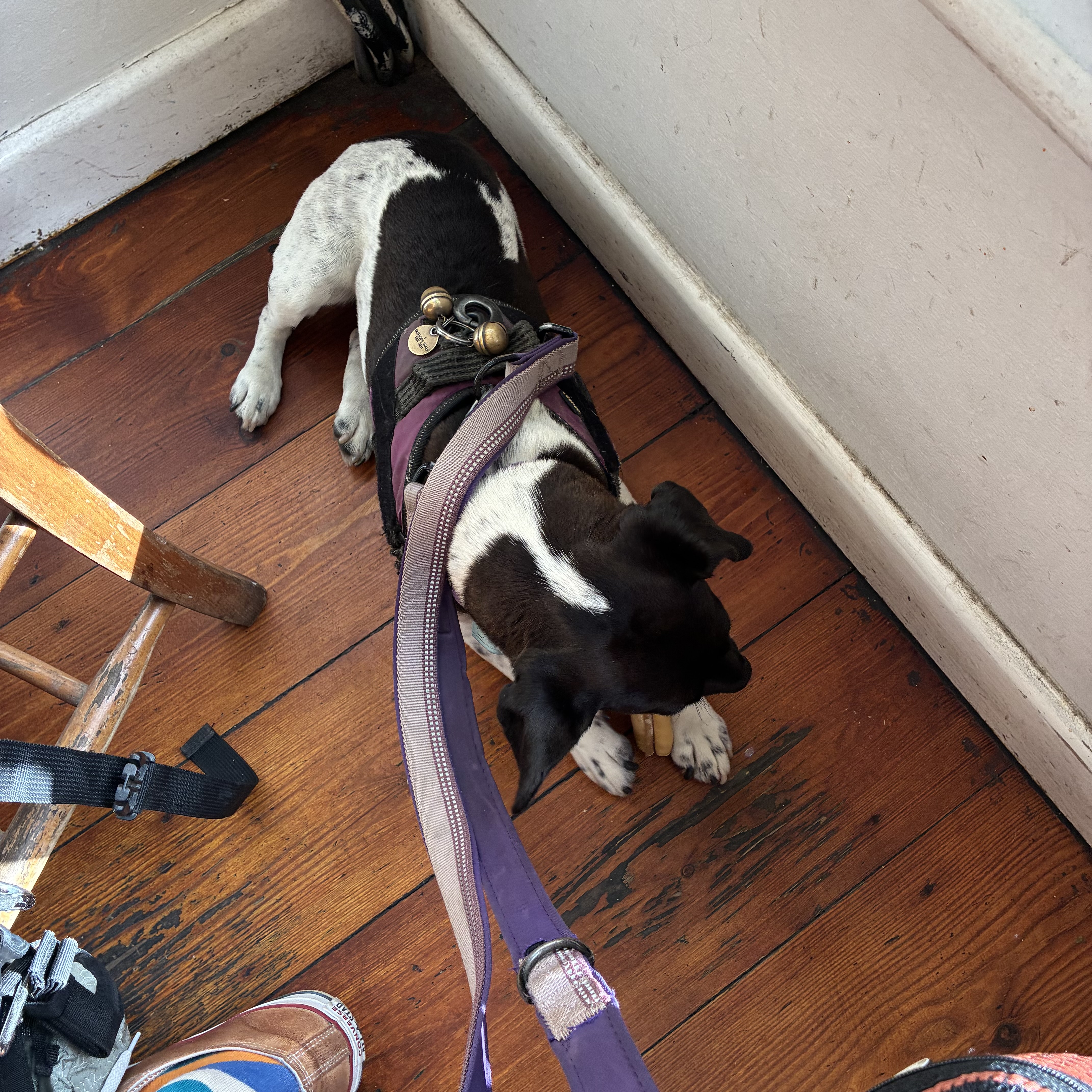 Humans ate and I ate at Crafty Egg