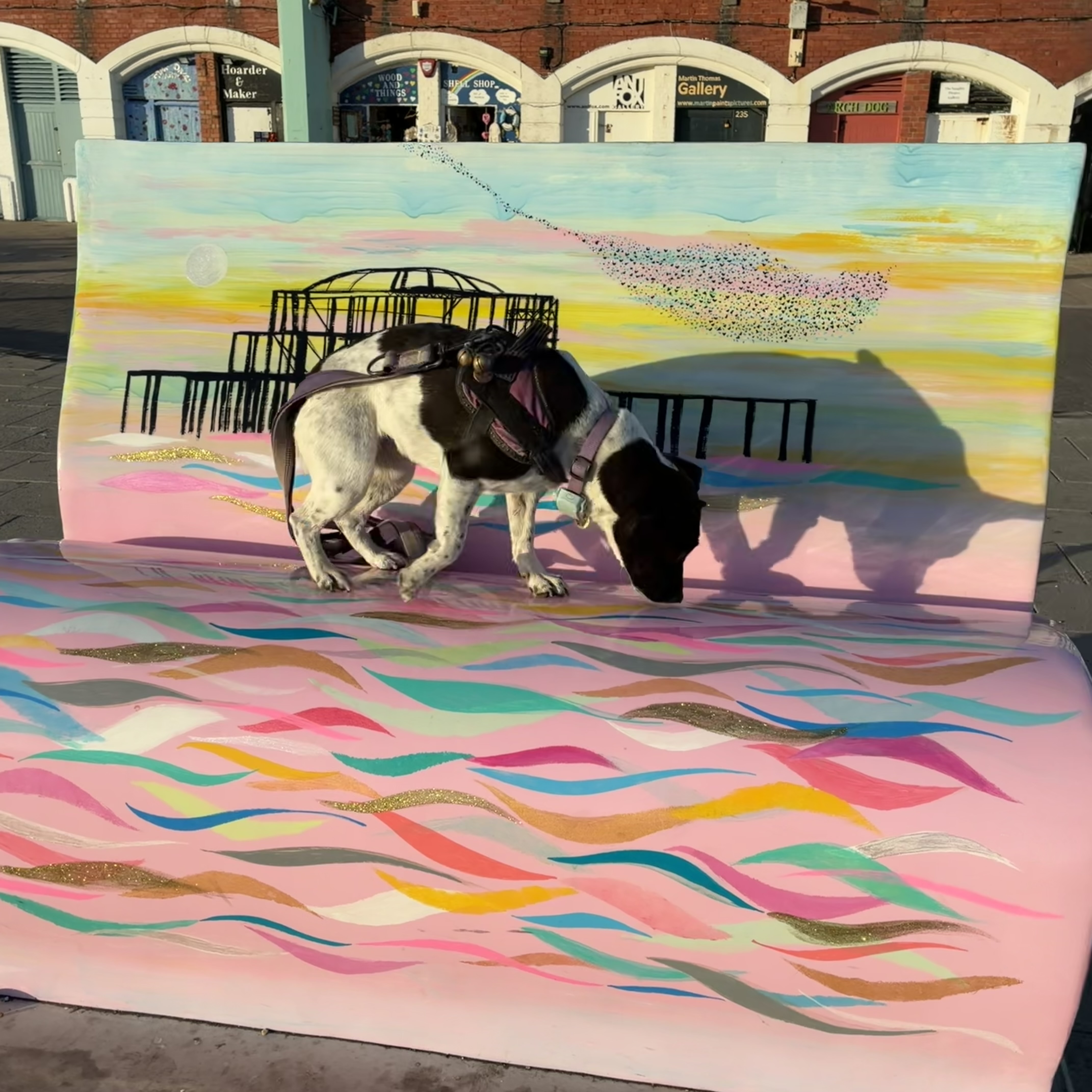 Sniffing around the seafront