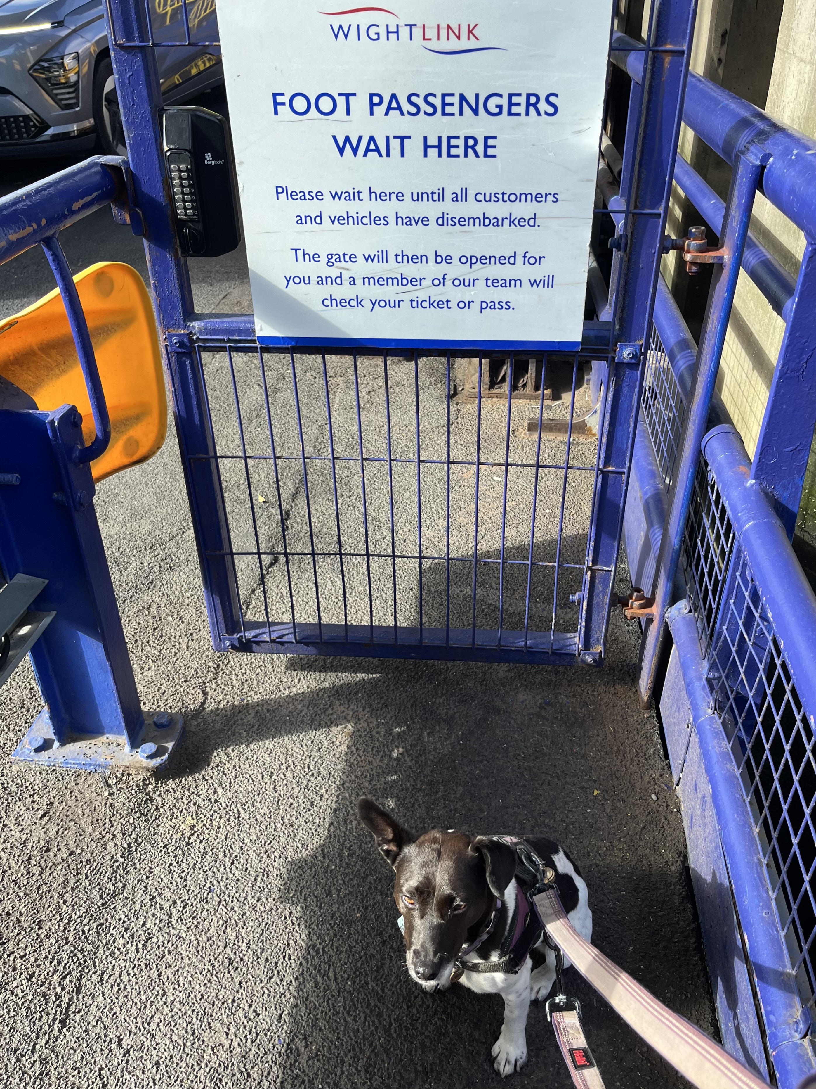 Waiting To board as a “foot” passenger 🐾